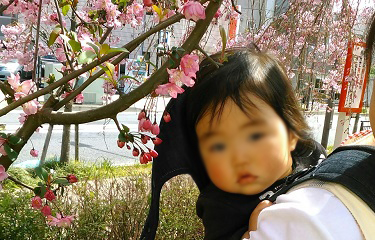 あさ