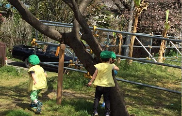 お外でお遊び