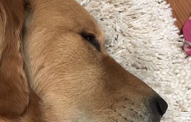 よる