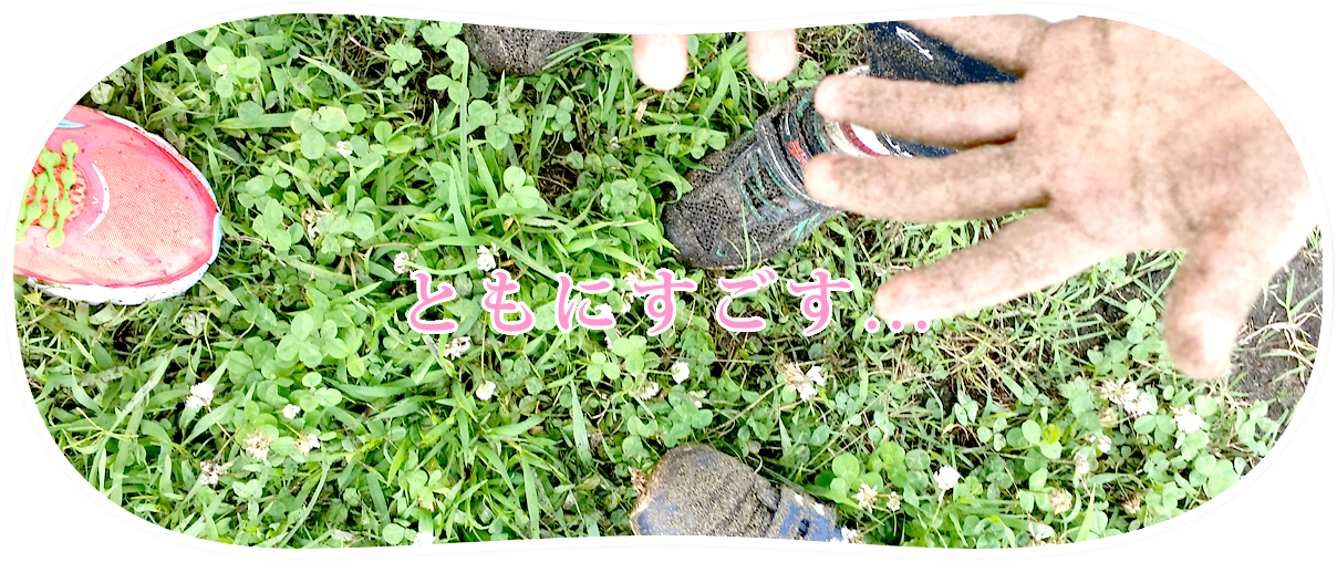 こどもの手